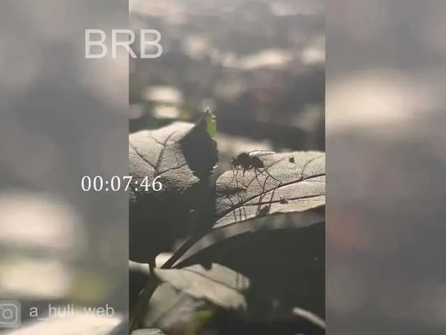 Live with Madison_Carie on FliCam Image 9