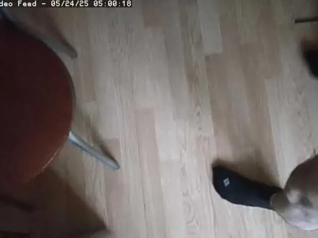 Live with BonnieandClyde on FliCam