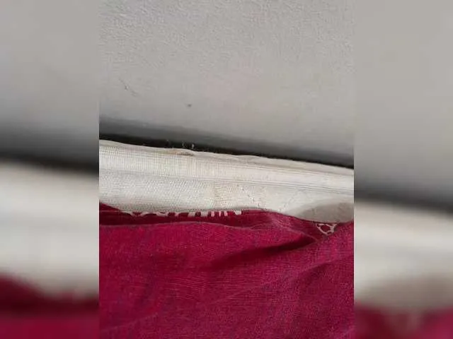 FridaQuiroga – webcam model profile photo Image 5