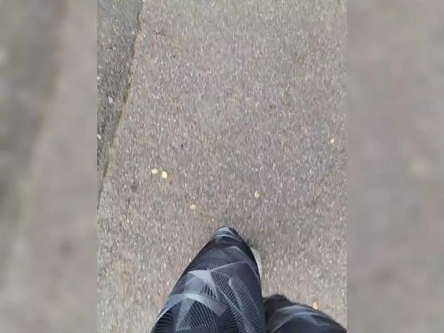 JadeRusell – webcam model profile photo Image 19