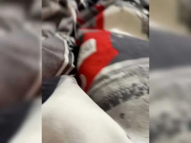 alanna_Micheles – webcam model profile photo Image 6