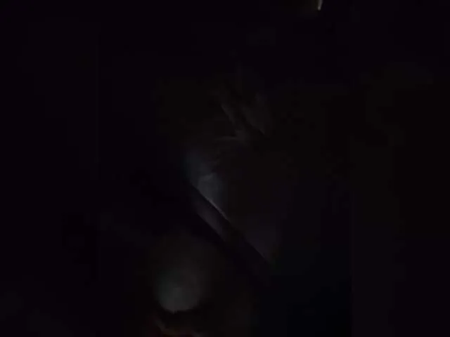 FitnessBunny – webcam model profile photo Image 3