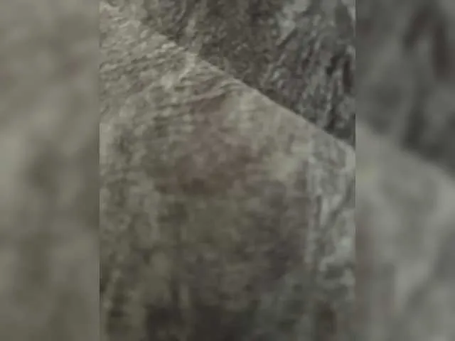 Para-2025's Thumb Image