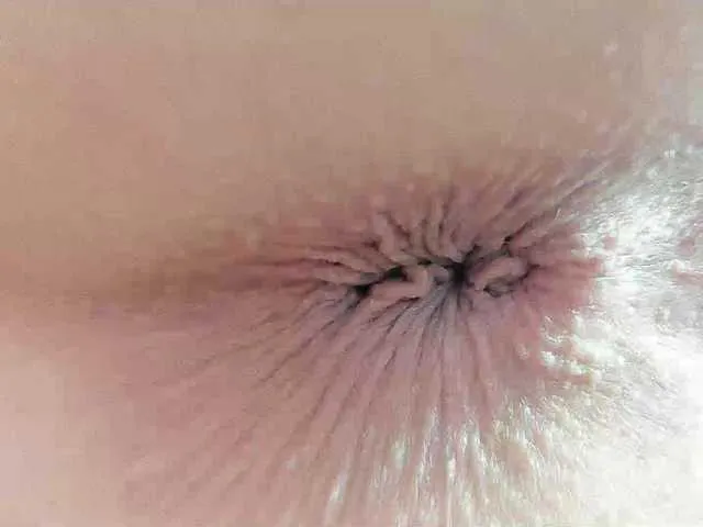 pevicha Image 9