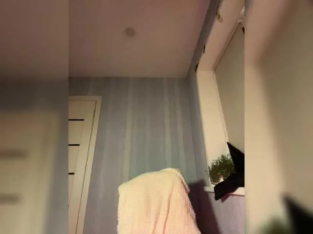 Saliss1 Image 19