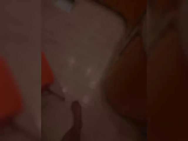 XKotikiX Image 18