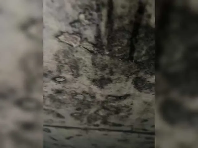 ArianaStockman – webcam model profile photo Image 8