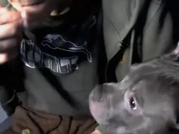 jonathanfranz123 – webcam model profile photo Image 9