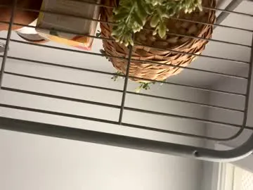 playhardsex – webcam model profile photo Image 8