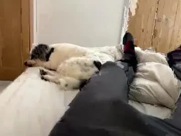 britishbighorn – webcam model profile photo