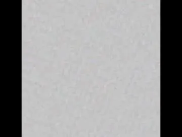 chan_pak – webcam model profile photo Image 12