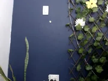 LeylaVidal – webcam model profile photo Image 19