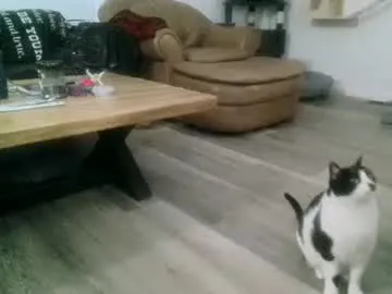 LizyMilleren – webcam model profile photo Image 7