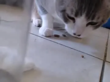 OlyRosee – webcam model profile photo Image 17