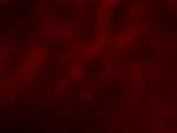 KellyBroke – webcam model profile photo Image 15