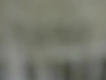 ButterfliesLove – webcam model profile photo Image 18