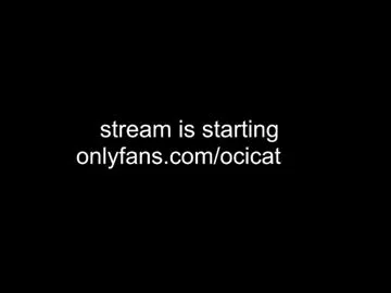 ocicat Image 13
