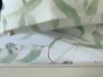 PaulinaKorven – webcam model profile photo Image 6