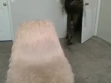 Miia_Roousse – webcam model profile photo Image 17