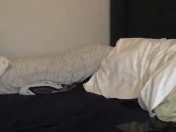 EvaSalvatore – webcam model profile photo Image 13