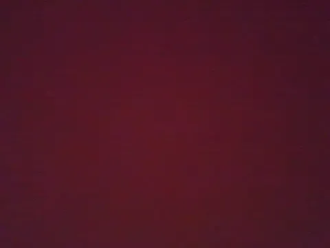 Riley_ray69 – webcam model profile photo Image 3