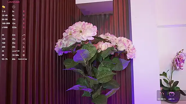 paulinaalatalo – webcam model profile photo Image 10