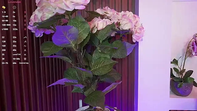 paulinaalatalo – webcam model profile photo Image 11