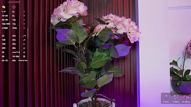 paulinaalatalo – webcam model profile photo Image 4