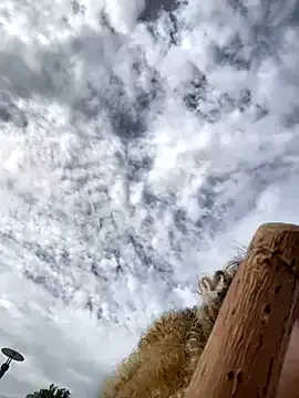 AnaVacciii – webcam model profile photo Image 14