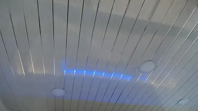 fairyxbella – webcam model profile photo Image 19