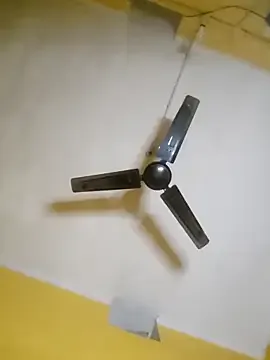 AmorousAnabelle – webcam model profile photo Image 8