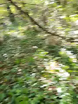 KinkieKittiexo – webcam model profile photo Image 16