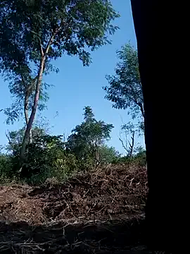 AmaraRice – webcam model profile photo Image 13