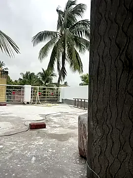 RebeccaXO_ – webcam model profile photo Image 5