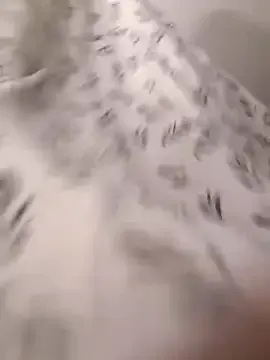 AmberLewiis – webcam model profile photo Image 16