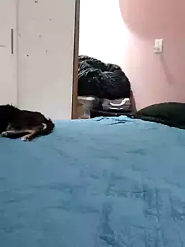 Serene_Sophiex – webcam model profile photo Image 7