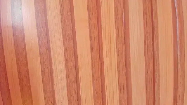 Wow-nisha – webcam model profile photo Image 15