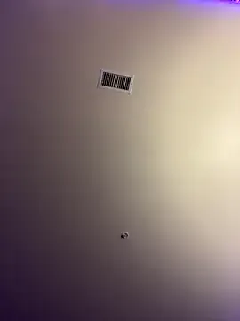 Nimah_ – webcam model profile photo Image 15