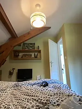 ValkyriiaSteel – webcam model profile photo Image 2