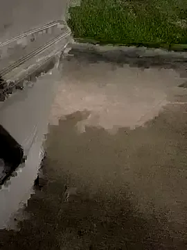 Ginebra_Belucci – webcam model profile photo Image 10