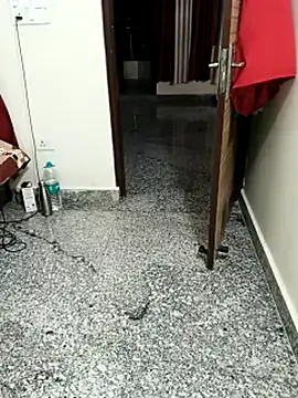 CelineReys – webcam model profile photo Image 14