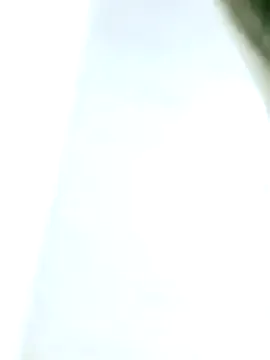 glamwtigress – webcam model profile photo Image 6
